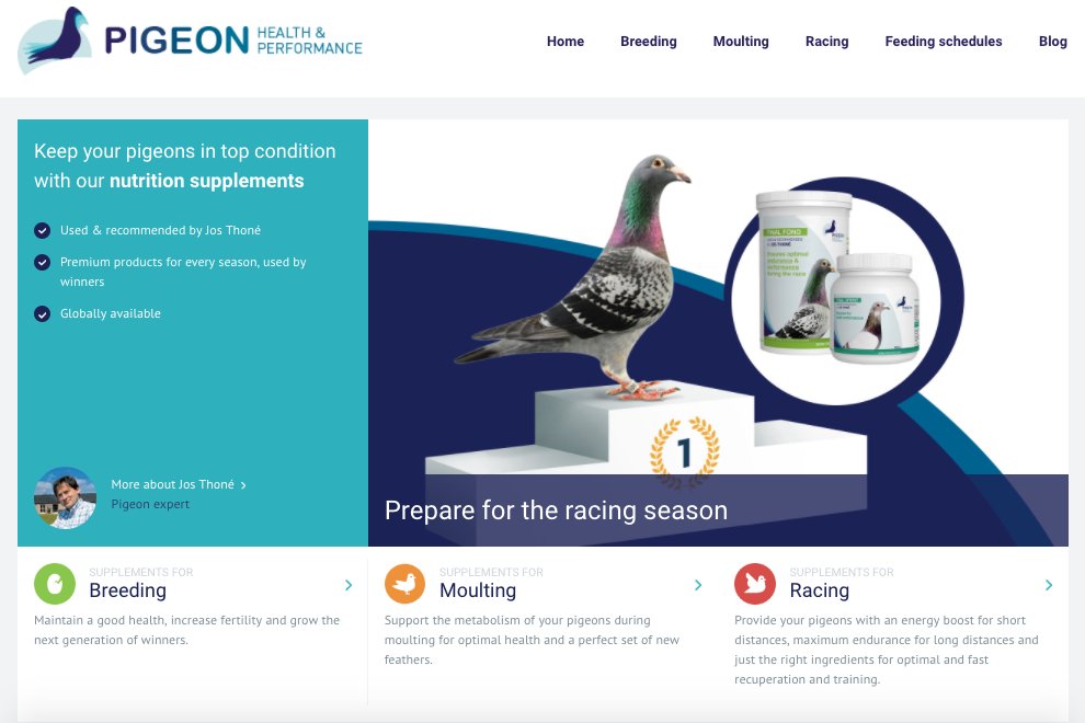 Pigeon HP (@PigeonHP) / Posts / X