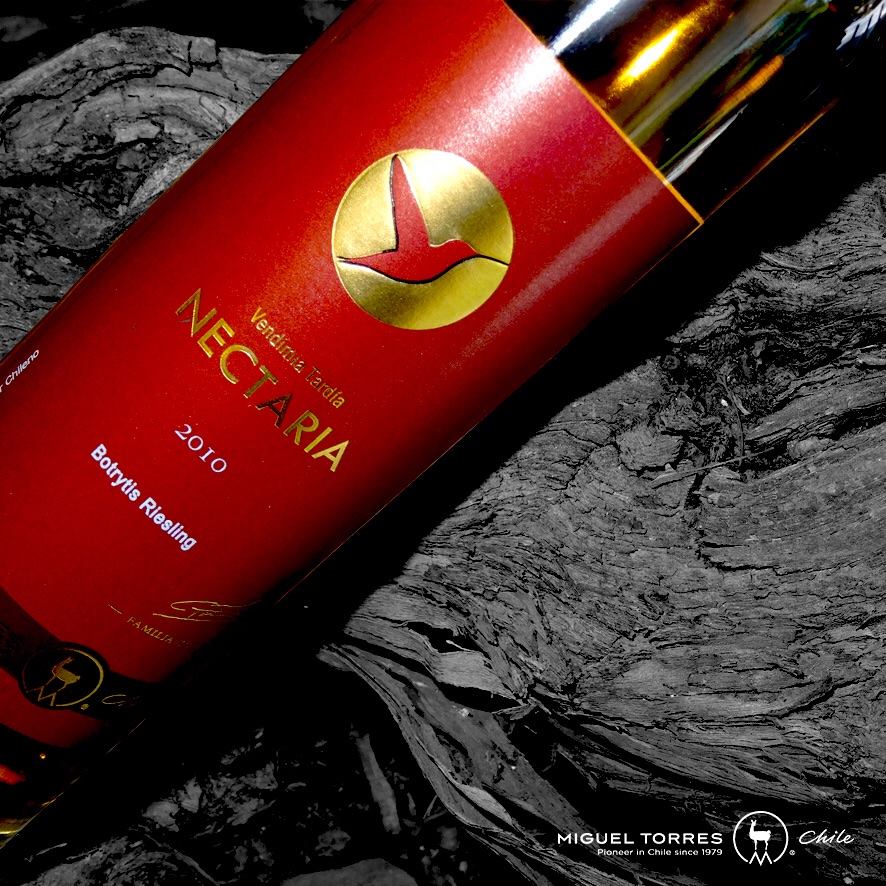 MiguelTorresCL's tweet photo. #Nectaria Vino dorado con finos aromas a miel, cítricos, flores y especias #ValleDeCuricó #MiguelTorresChile https://t.co/BIGRUL6Fun