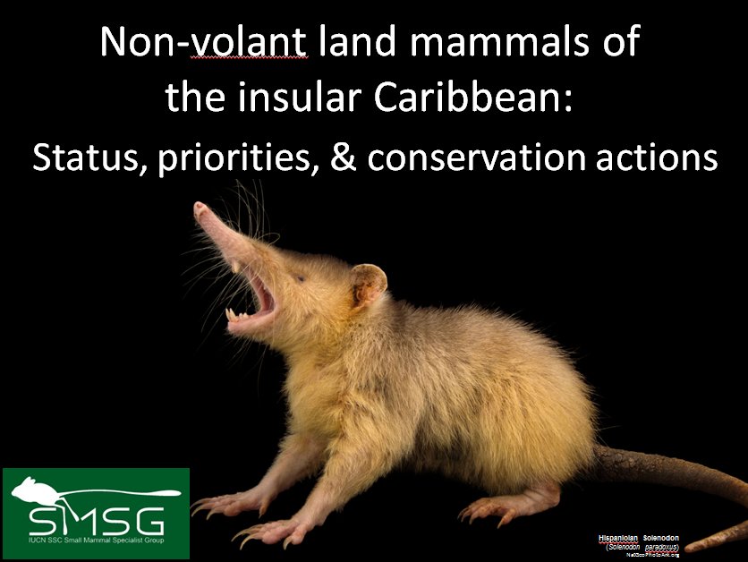 IUCN_SMSG's tweet photo. To find out about @IUCN_SMSG conservation in the Caribbean come to our #IMC12 talk in S19 on Thurs 13th from 1:30-3:10PM in Meeting Room 1! https://t.co/TnY6renCAp