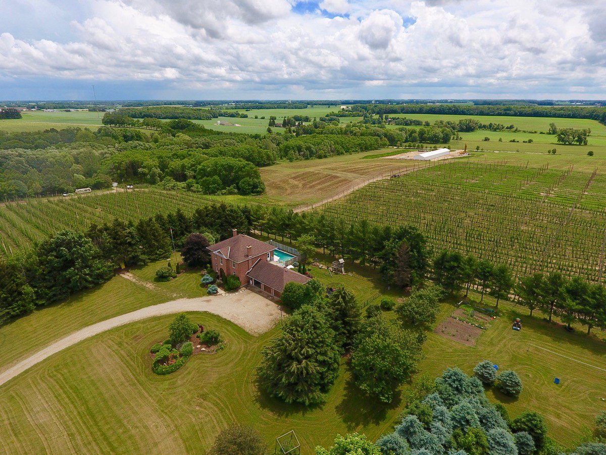 All 3 yards in this pic. Yard 3, the newest is in the top right. This is 90% Rakau Hops and a few rows empty ready for our Heritage #onhops