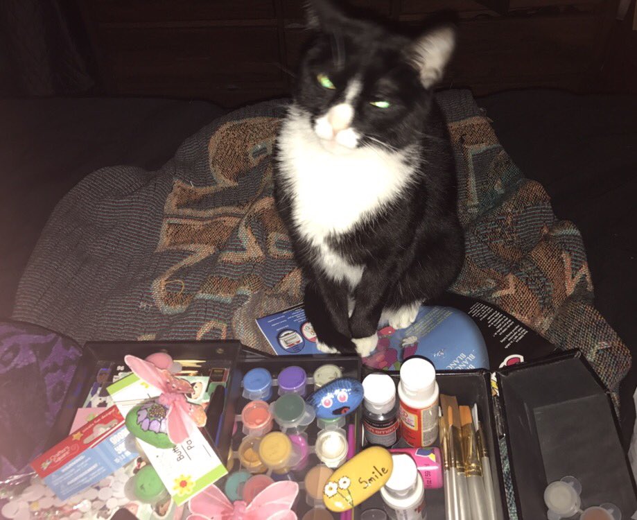 VioletThumbs's tweet photo. #kittygocrazy #paintingrocks #brevardrocks my human will be hiding happy hunting, hints to follow #dayatdisney #disneysprings https://t.co/Bx6DCtB1lV
