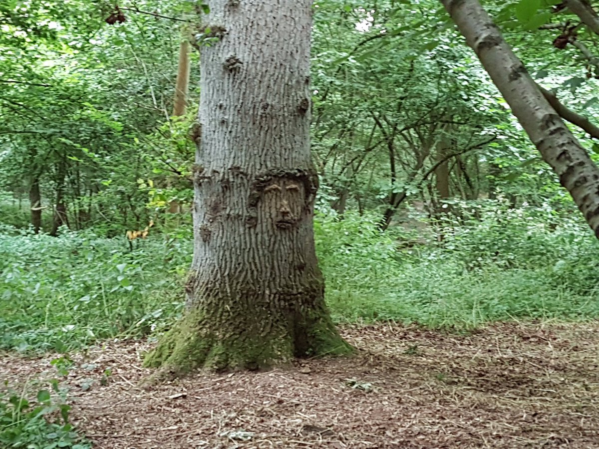 ORCS Reading tweet media