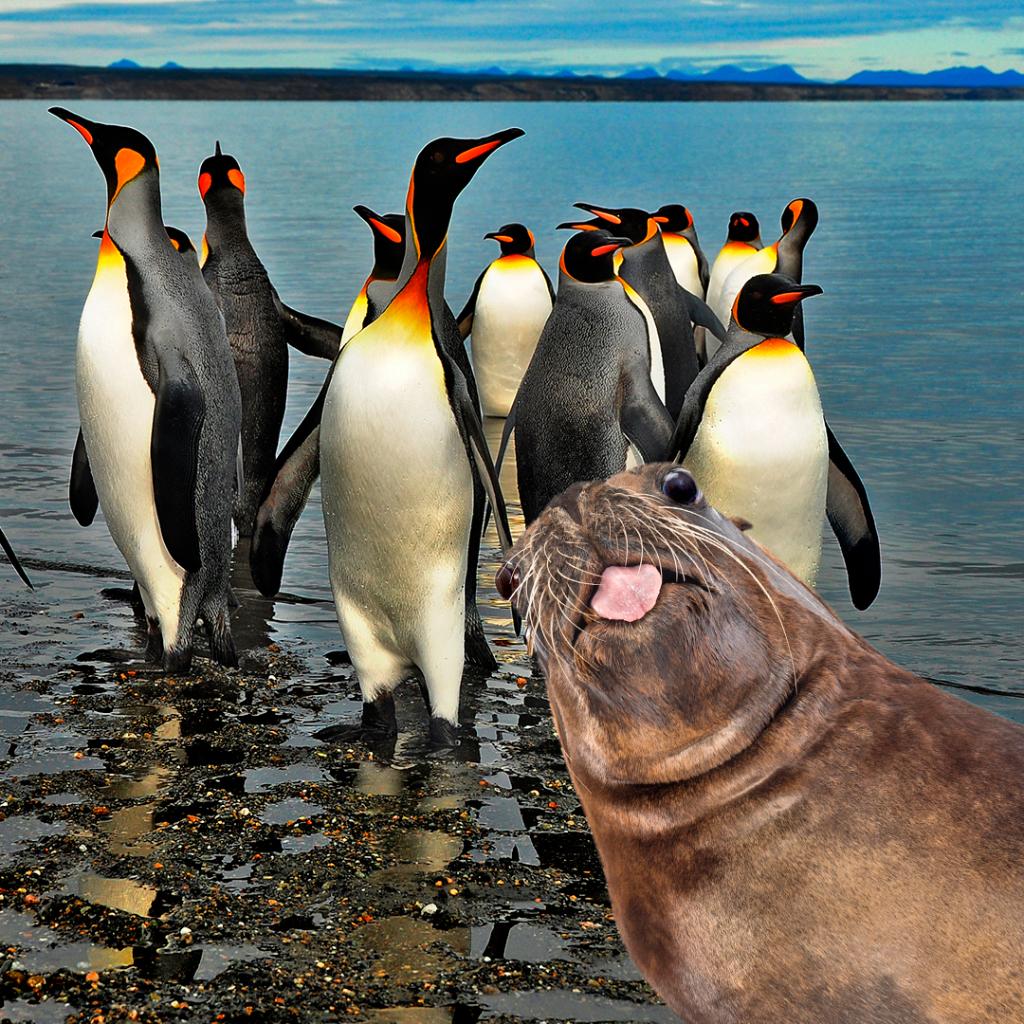 KnowTheRealCost's tweet photo. I’m not smoking because it might cause early wrinkles around my whiskers. Gotta stay smooth for my photobombs. Share your #ReasonsNotToSmoke https://t.co/lM05mTs8J2