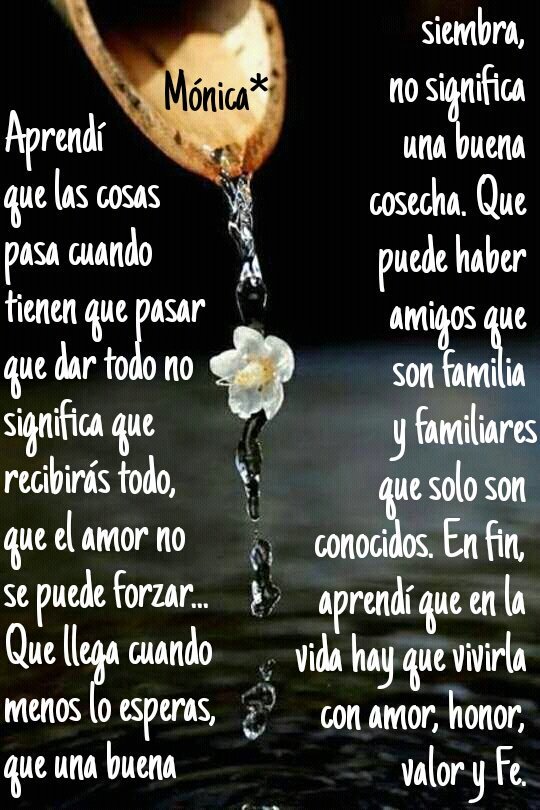 c6af6b7cf5144cb's tweet photo. @MichelPesquera Aprendí.... https://t.co/oxyA0wqDOF
