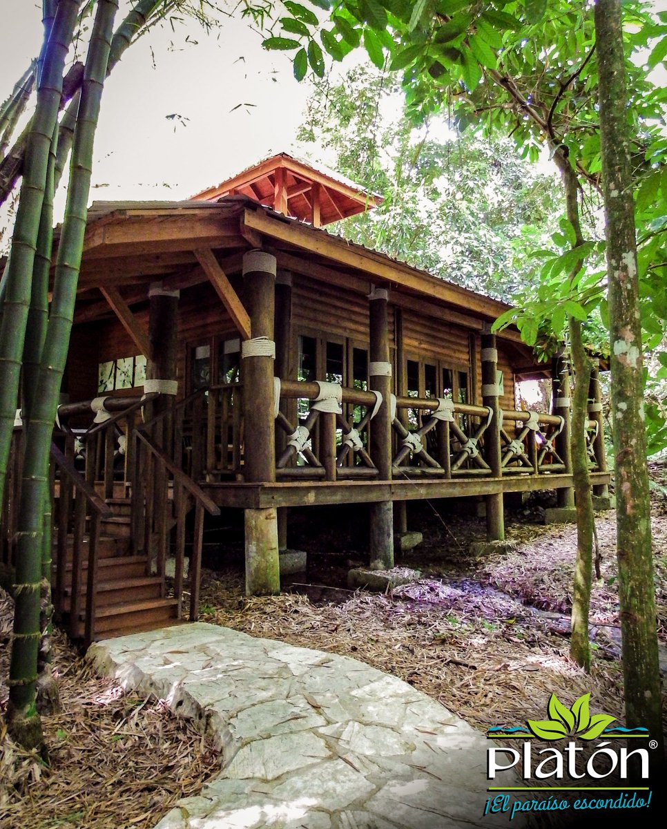 platonecolodge's tweet photo. #cabañas #bambú #bamboos #naturaleza #rio #cabinlife #livingnature #ranchoplaton #barahona #barahonard #elsureshermoso #DominicanRepublic https://t.co/9wPtK7cPkX