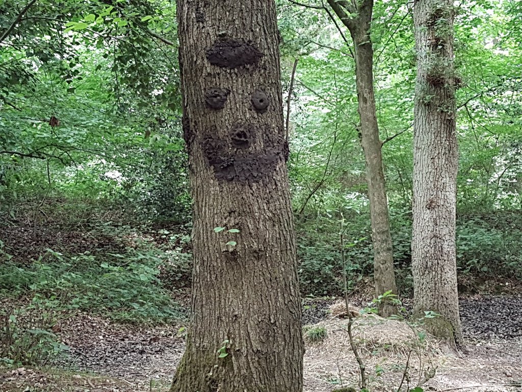 ORCS Reading tweet media