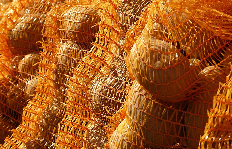 mfrutiUMH's tweet photo. La #importación de #frutas y #hortalizas va ganando peso en España. #Agrocomercio #Exportaciones https://t.co/lsagTfkYXT https://t.co/EkUoiG3DY0