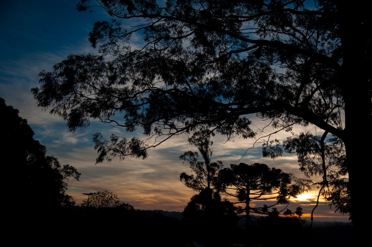 ucs_oficial's tweet photo. #clickdodia.
O amanhecer na UCS, pelo olhar da fotógrafa Claudia Velho. Lindo! https://t.co/VJK0b8J1b6