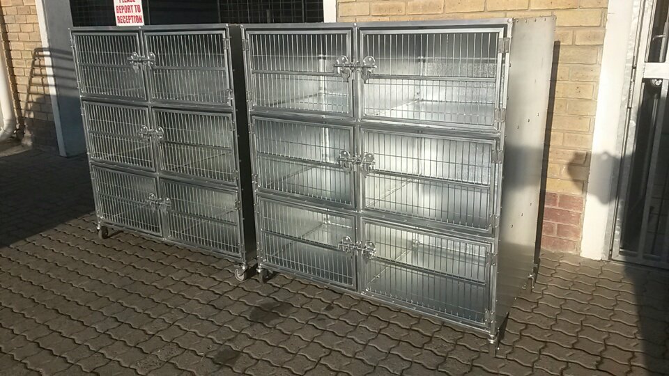 PetCreationsCT's tweet photo. Lovely Vet or Parlor cages Available from Pet Creations R6850 Each. Contact us for more info.#Vets #doggyparlors #goodquality #Takemymoney https://t.co/b7Wc9Hbm0b