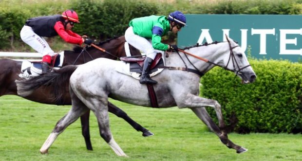 EquidiaNews's tweet photo. #Obstacle Arrivée du quinté à Auteuil : le retour fracassant de Fiasco du Pécos. Le compte-rendu détaillé ici => https://t.co/BfDINdEzQn https://t.co/sjyQ6Nv05f