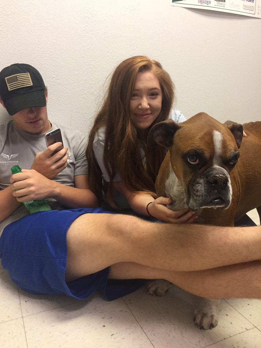 kel_swanson's tweet photo. Yesterday we had to let go of the goodest of boys. Cancer took you away, but I know you're happy now without all that pain. Fly high buddy. https://t.co/zAxChwXk2y