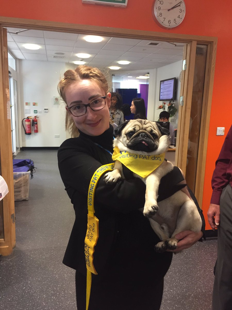 Harriet Dobson tweet media