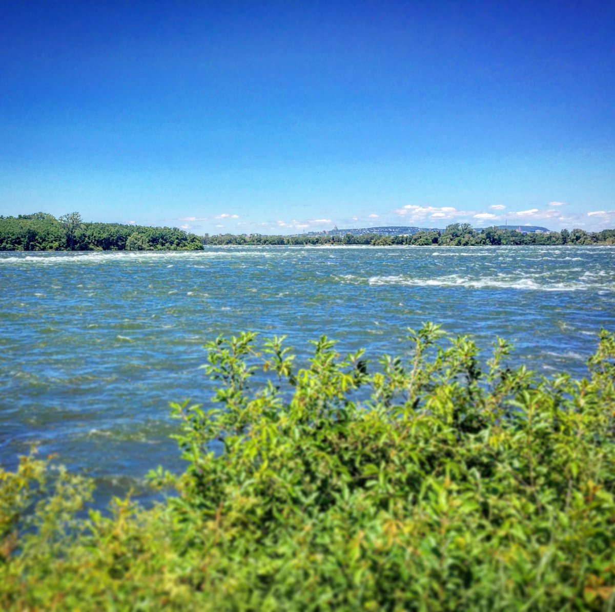 Lex_Albrecht's tweet photo. This was a fun place to rediscover on my bike! The @RecreoParc "in the middle" of the St Lawrence river. Great #cyclingdestination! https://t.co/cSNQP9uzSL
