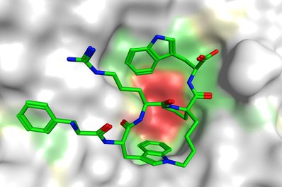 ChemEurJ's tweet photo. Structure-based design of #inhibitors of #TLE1 as a #cancer target @ICR_London @malvern_news https://t.co/c3poXGG0Vy https://t.co/allj916Wxy