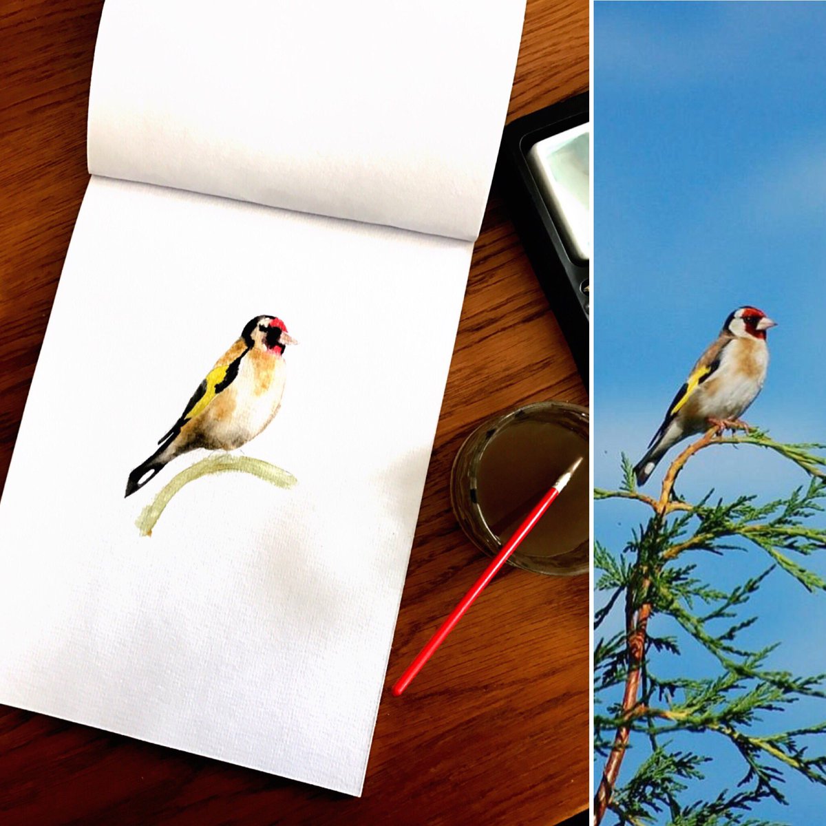 mrskmarsden's tweet photo. #30DaysWild #Day27 Lazy afternoon. First ever attempt to paint a bird...overweight, changed shape &amp; messed up the head 🙈 #newspecies?! https://t.co/yeHmrjELD2