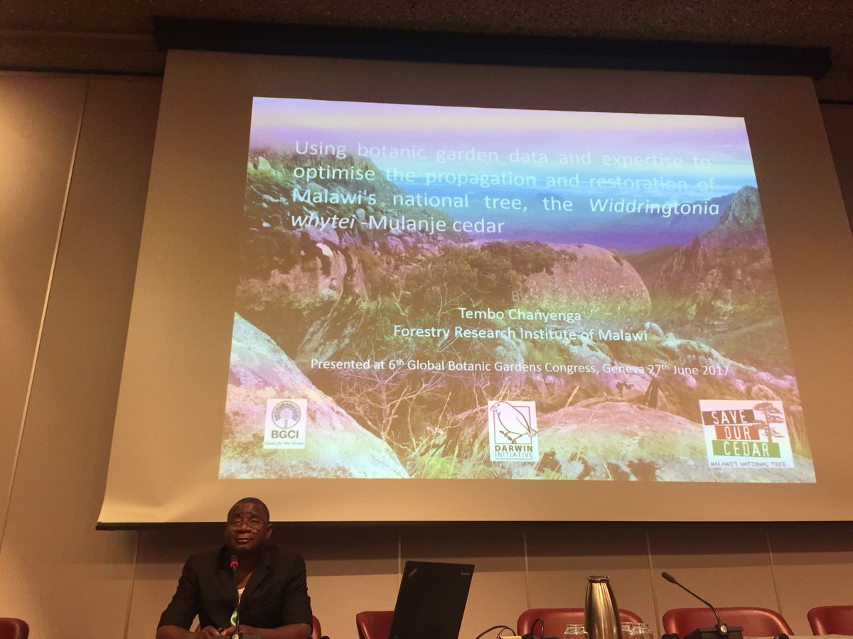 globaltrees's tweet photo. Dr. Chanyenga, Forestry Research Institute of Malawi, talks about our joint project to save Mulanje Cedar #SaveOurCedar #TreeTuesday #6gbgc https://t.co/tOHYhvpSn9
