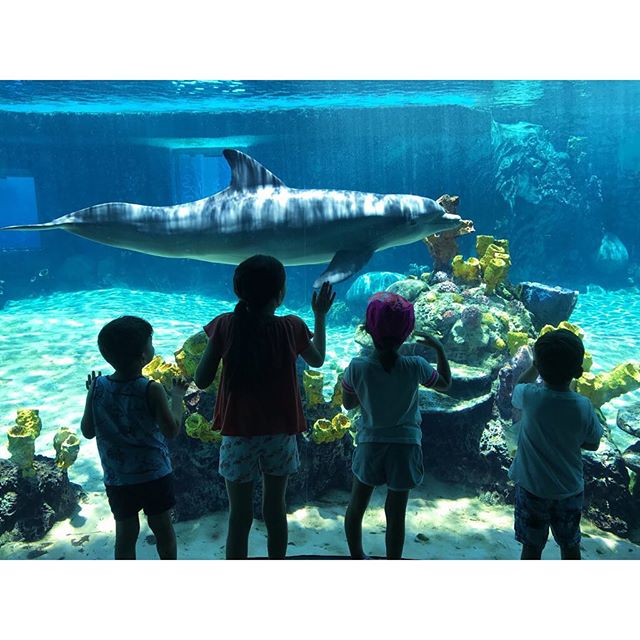 SeaWorldTexas's tweet photo. Get ready for an underwater adventure! We open at 10am https://t.co/ia0oFvpZKR