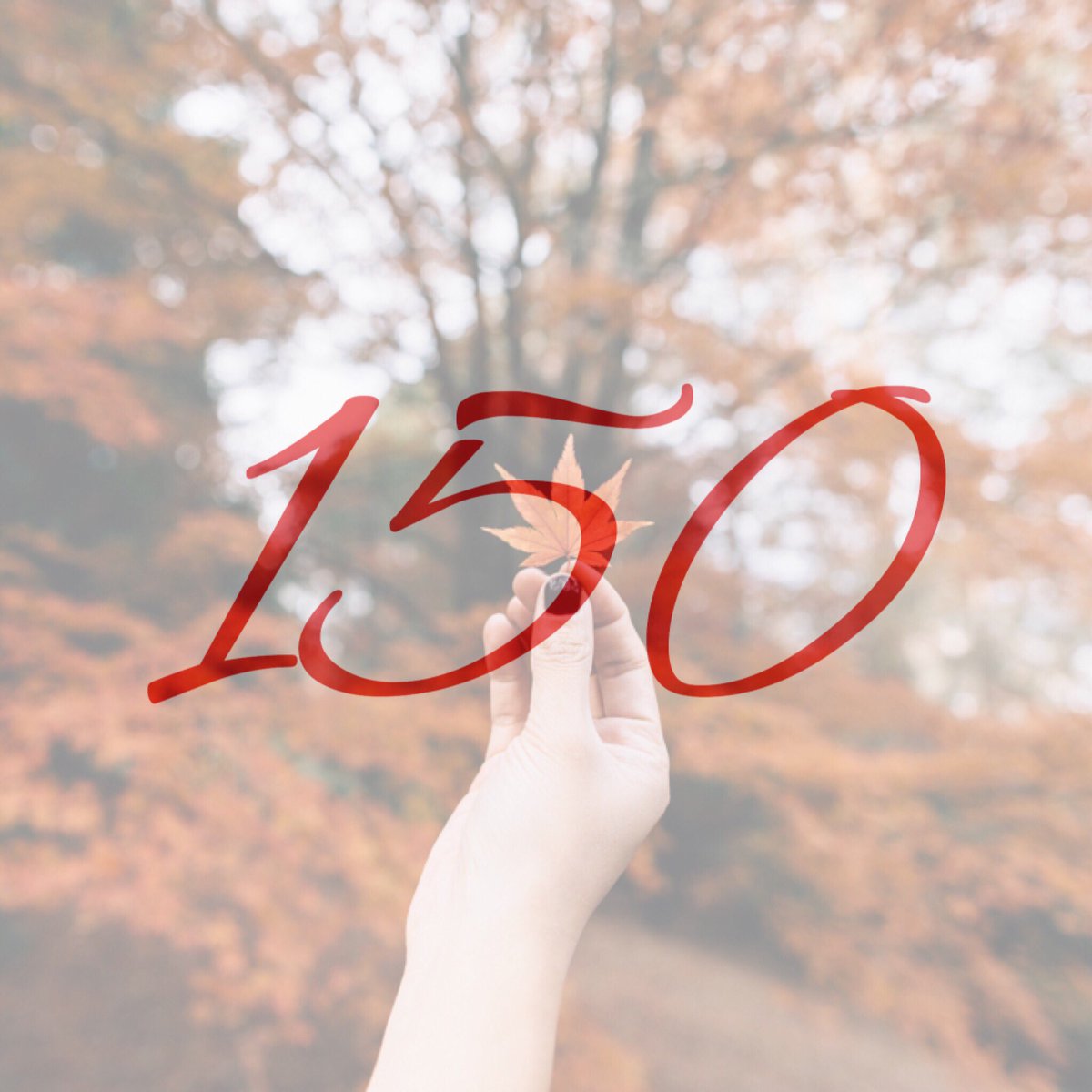 wegroommen's tweet photo. On July 1st Alleyne's is announcing a 150 day promotion.#staytuned #Canada150 https://t.co/Q19fYnTBjF