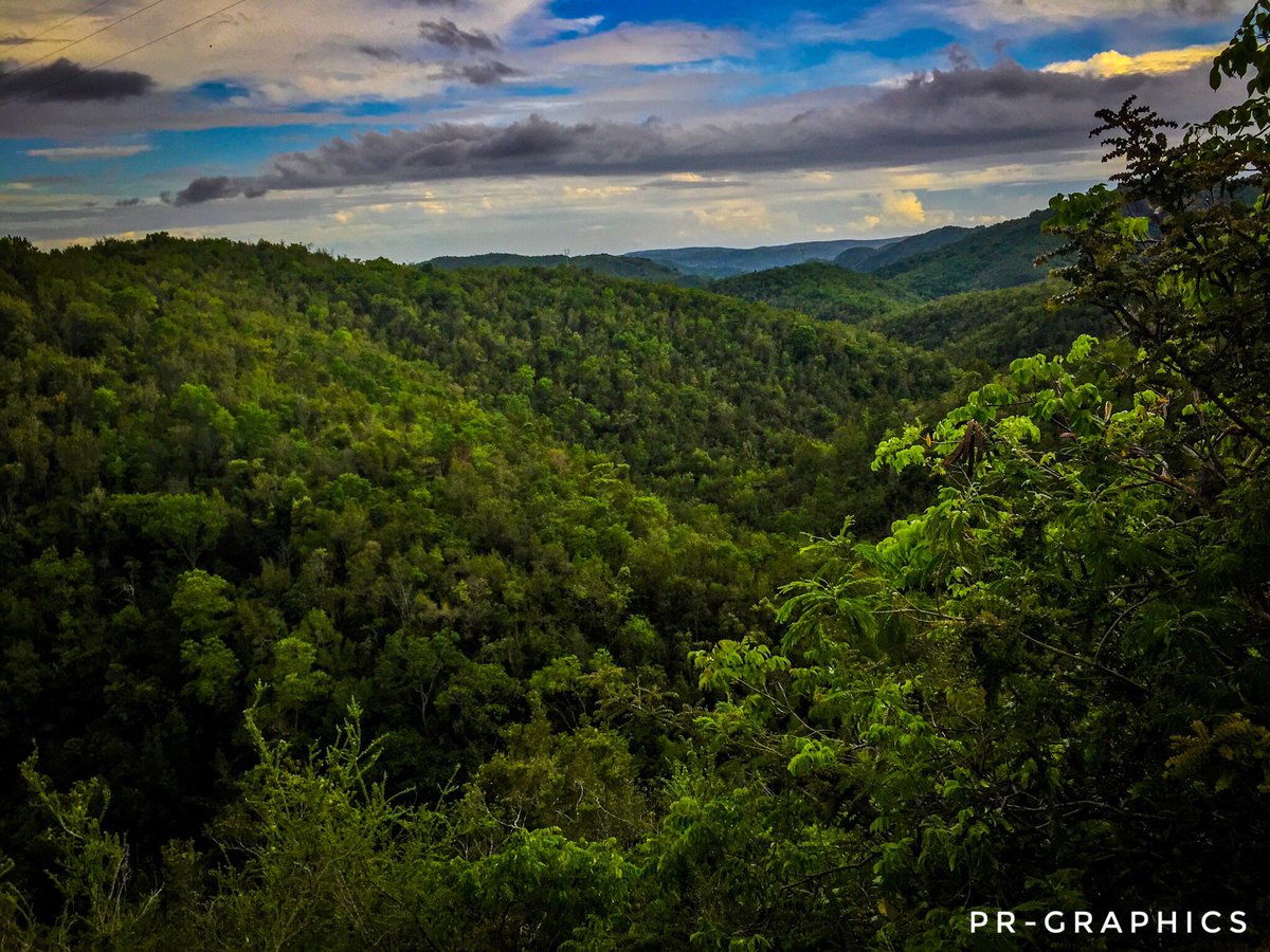 PRGRAPHICS62's tweet photo. Una vista hermosa desde el bosque susua 🍃🌎🇵🇷 https://t.co/9dHXlAckHl