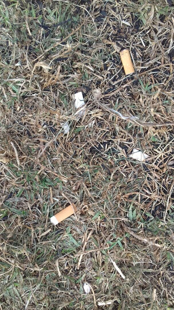 2wise2waste's tweet photo. Tiny bits of cigar stabs creating a bigger environmental problem. #5Starversary @StarfmZimbabwe @UNICEFZIMBABWE @UNDPZimbabwe @kukusnap https://t.co/wVq50skvKU