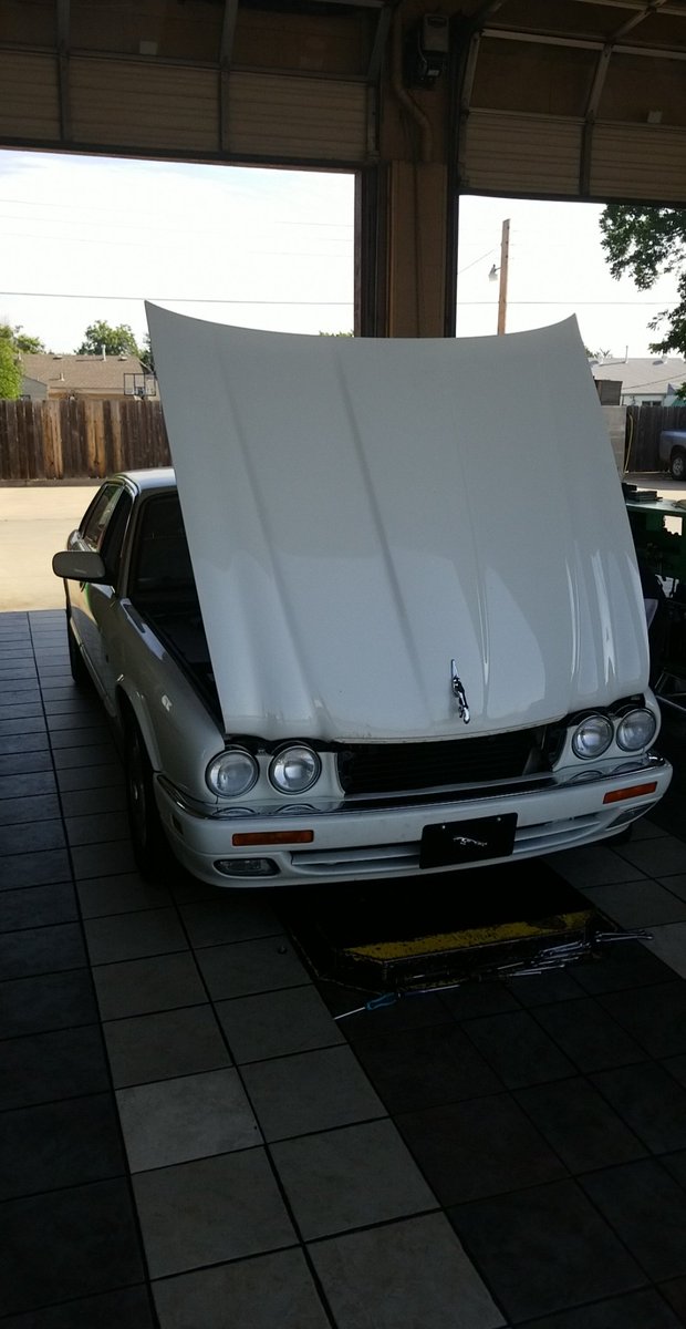 HeavyDfresh's tweet photo. #Jaguar #JagWorks #PitStop3 https://t.co/sZoZ99pf6r