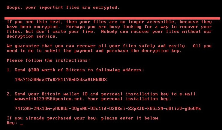 Petya Ransomware