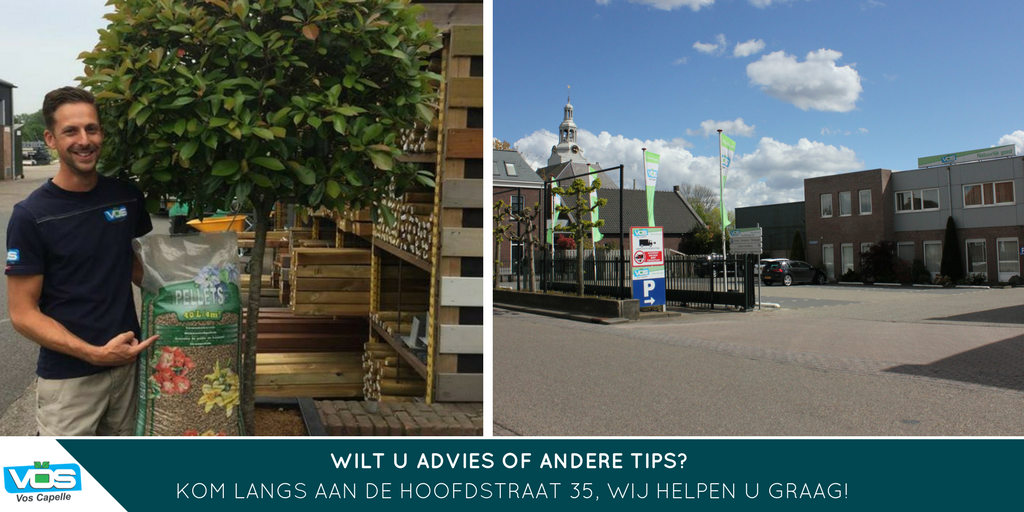 voscapelle's tweet photo. #Onkruid verantwoord, voordelig en effectief weren? Gebruik Strovan Stropellets! Ideaal voor o.a. #borders en #plantenbakken. https://t.co/a9wB9wEjU5