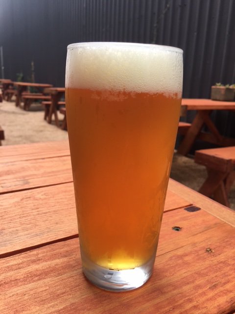 BeerDiariesTV's tweet photo. @BitesnBuzz Here is a #BeerWeLove! Hop-forward with #AxisIPA from @RealAleBrewing! Cheers! https://t.co/X35vXiU33F #craftbeerlife #txbeer #onlyinTX https://t.co/deei0YJhT9