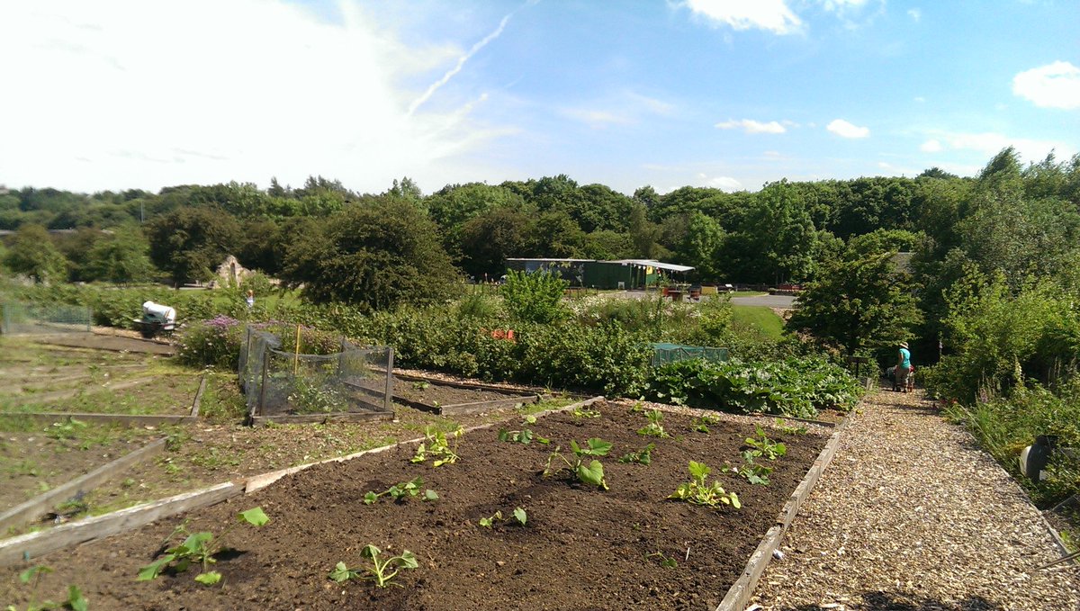 Sun was shining last week for our walk around community gardens in Lambhill/Milton. Some lovely projects #communityfunding #thrivingplaces