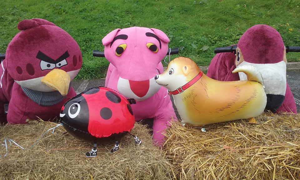 Pets in the Park tweet media
