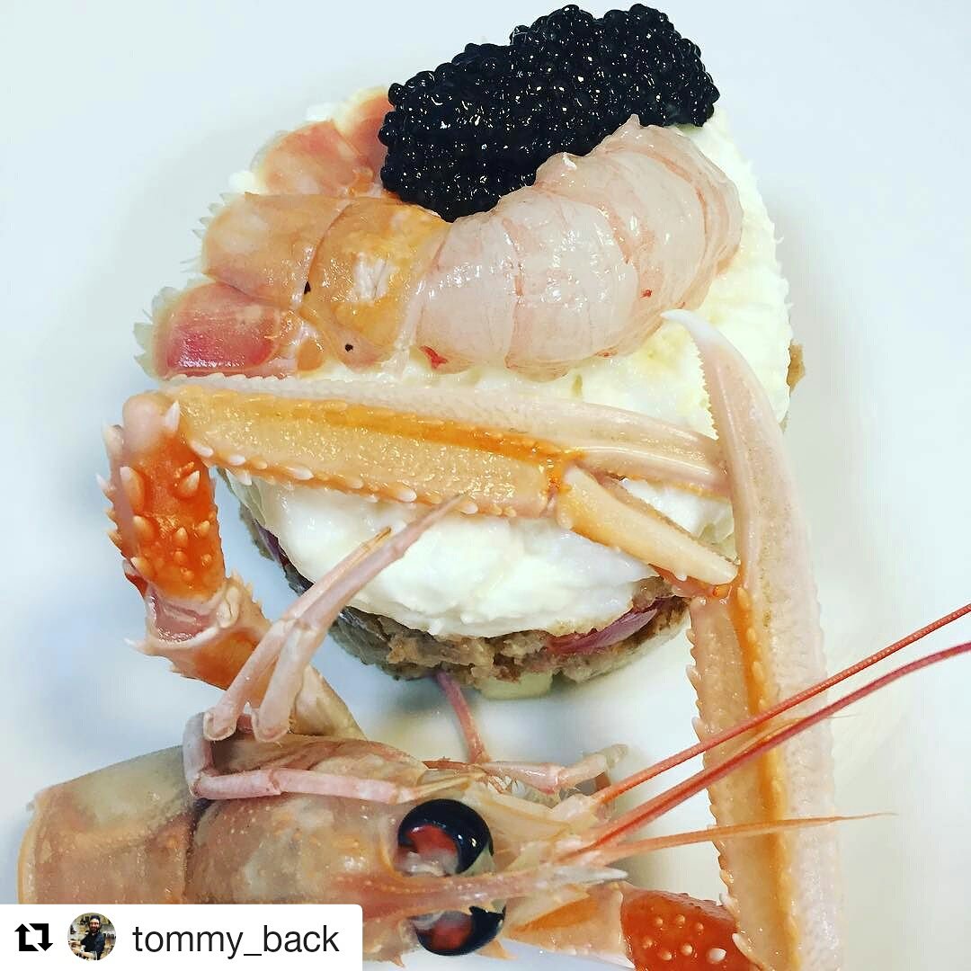 CalvisiusCaviar's tweet photo. Frisa di mare con #caviale Siberian, e sei già in vacanza! Il piatto di @tommy_back di Bernardi Bistrot #Taranto https://t.co/EHjvOd8AHZ
