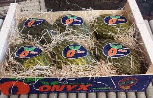 diego_maestre's tweet photo. #Bravura by @rijkzwaanES ready for Syngapore #readytoexport https://t.co/eo7IqmDsRu