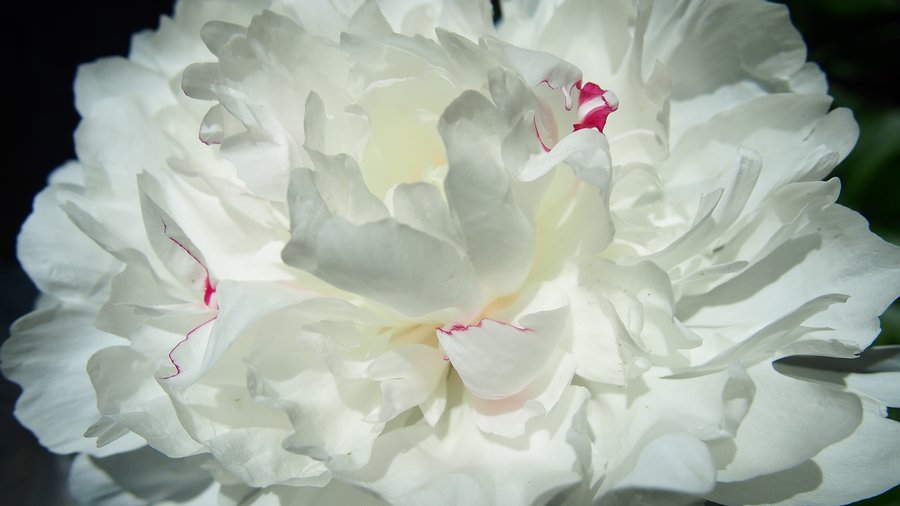 DiminskyVictor's tweet image. 