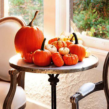agri_artisans's tweet photo. Agri-Artisans is putting together our fall directory. Contact us if you'd like to be included! Becca@agri-artisans.com #organic #organicfarm https://t.co/2eUYxOWRQM