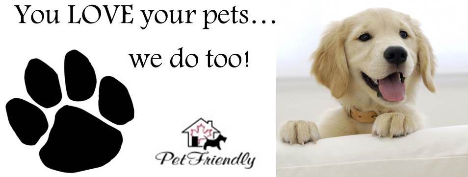 FourPointsEdm's tweet image. We are pet friendly with doggy daycare available at @littlepawsinnAB while you are taking in @ExploreEdmonton attractions this summer!