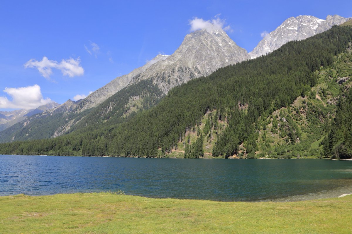 _technophil_'s tweet photo. Anterselva lake!
1/100 s, f/11, ISO 100, 28 mm, EOS 6D + EF 28-300 L
@VisitTrentino
#landscape #nature #mountain #summer #colors https://t.co/dqfn4Fz5Ex