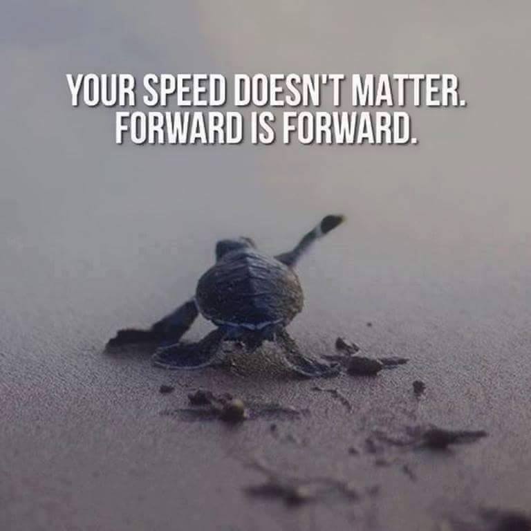 Solemakers's tweet photo. #Solemakers https://t.co/jBfCcawXA1