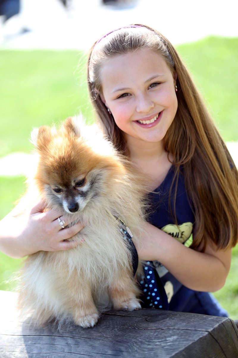 Pets in the Park tweet media
