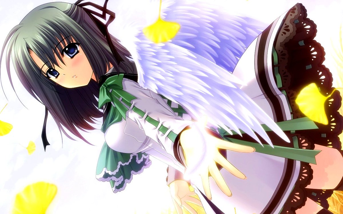 Etiqueta 6月28日は林田美咲の誕生日 Al Twitter