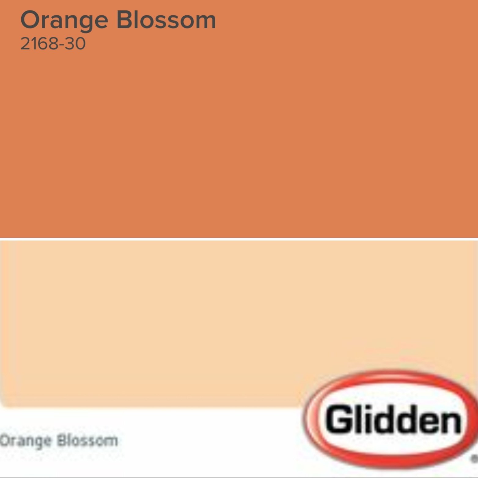 Orange Blossom 2168-30