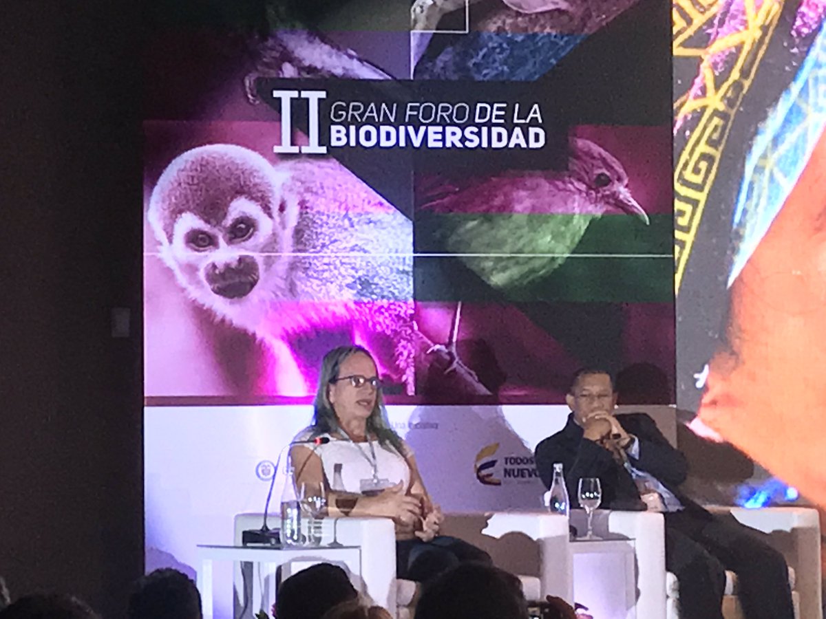 inst_humboldt's tweet photo. "Seguimos encontrando especies nuevas en cada expedición #ColombiaBIO "
@Brigittelgb #ForodelaBiodiversidad https://t.co/1oq9qg1ygl