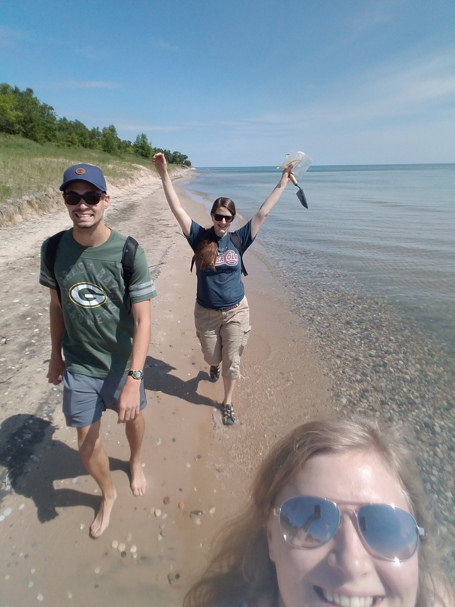 Urban Micro Ecology tweet media