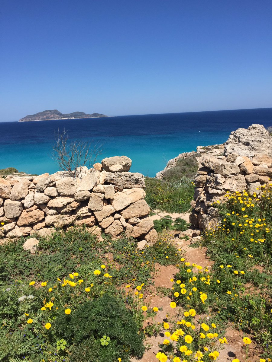 <a href="/donabianchi1/">donatella bianchi 🌈🐬</a> <a href="/AmpEgadi/">AMP Isole Egadi</a>  <a href="/s_donati/">Stefano Donati</a> ...pur tante difficoltà  un altro passo avanti!! #CalaRossa #Favignana