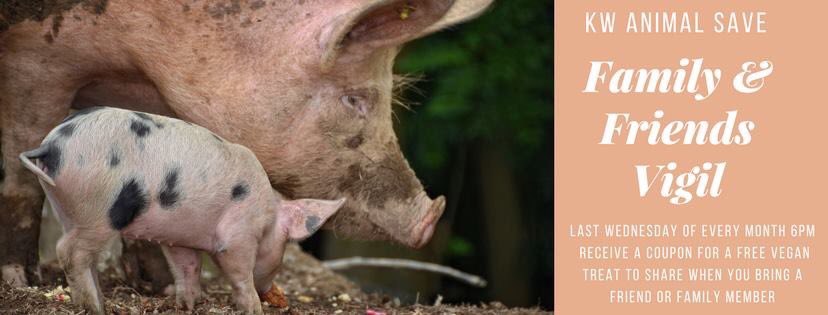 kwanimalsave's tweet photo. Join us tomorrow for a special family and friends vigil: https://t.co/OiVHP81wY5 #vegan #activism https://t.co/e7qUAfickn