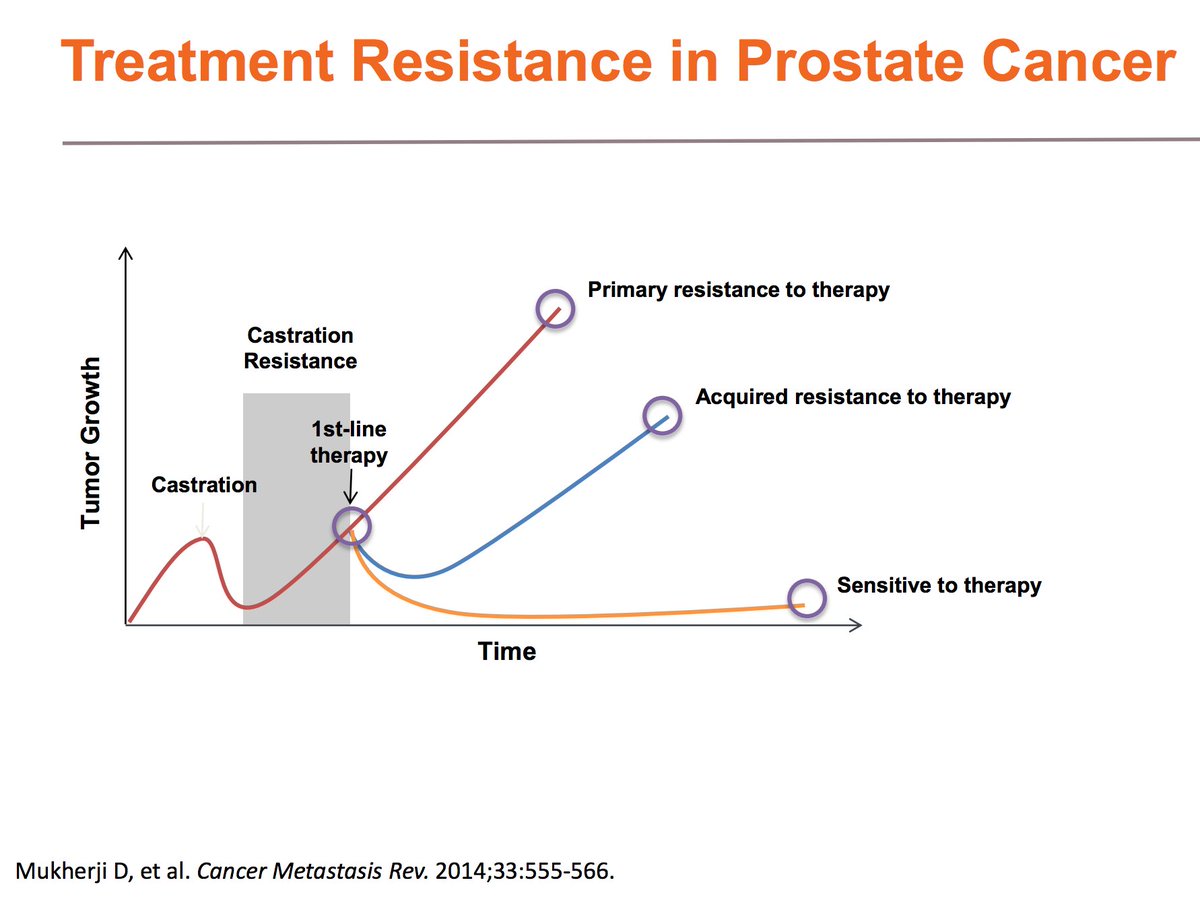 ProstateSummit's tweet image. Watch today's program, Management of Metastatic #ProstateCancer – Non-Androgen Receptor-Targeted Therapies: bit.ly/2sYbFU8