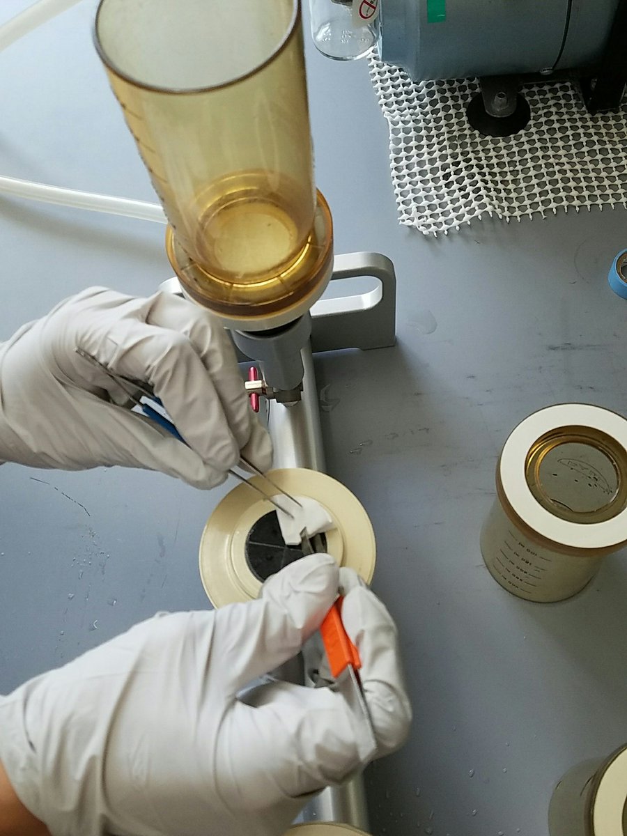 Urban Micro Ecology tweet media