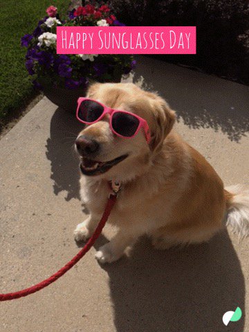 atismael's tweet image. #SunglassesDay