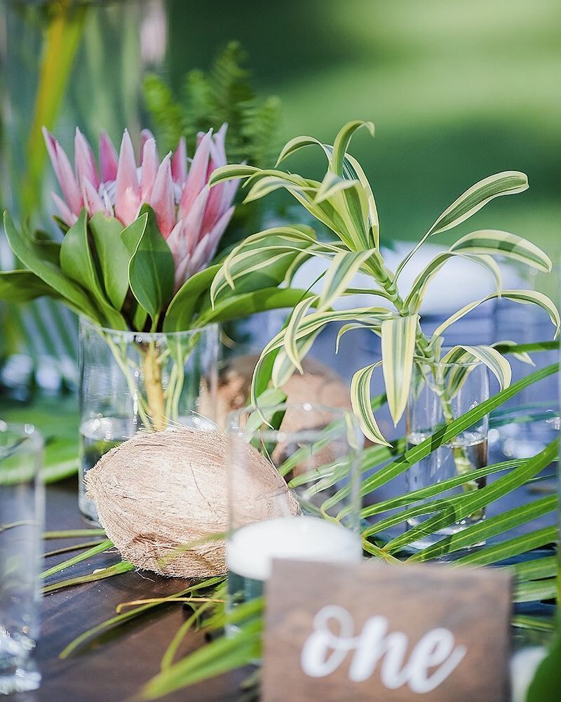 BDWandE's tweet photo. In Hawaii, all you need is a touch of greenery to create a beautiful tablescape! | Venue: Olowalu Plantation House… https://t.co/C1prDjZyPz https://t.co/KuW54qFcGL