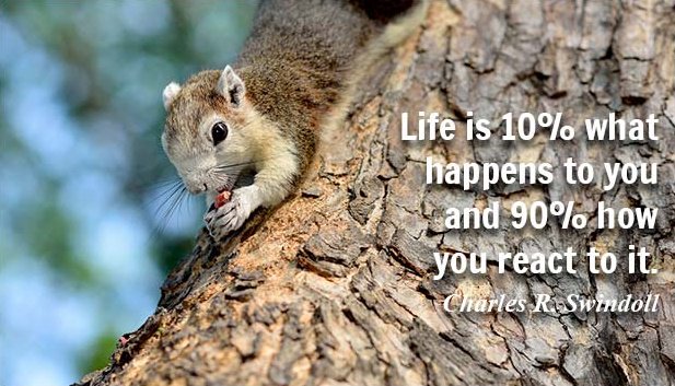 pianotime2's tweet photo. Life is 10% what happens to you and 90% how you react to it.  ~ Charles R. Swindoll #quote #life https://t.co/NxnNREwVTH