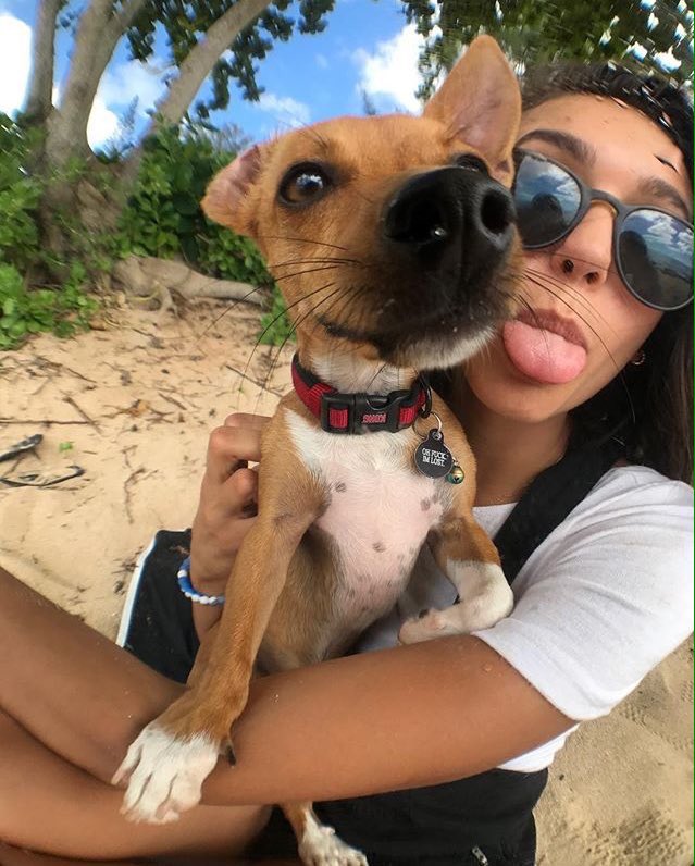 speechlcss's tweet image. 😋🐶